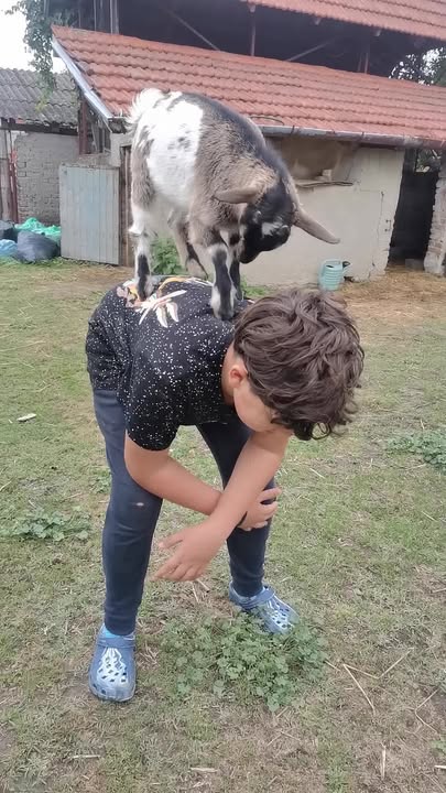 Posjet OPG Duša Baranje